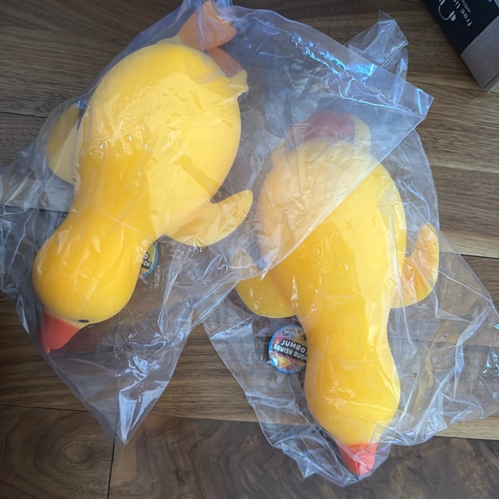Viral jumbo squish duck from five below